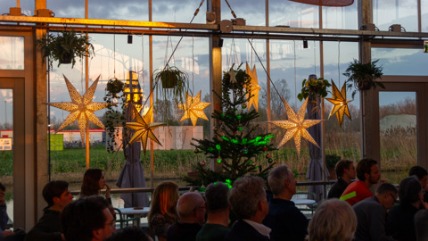 A group of people sits indoors near large windows decorated with glowing star-shaped lights, potted plants, and a lit Christmas tree, with a view of greenery and cloudy sky outside.