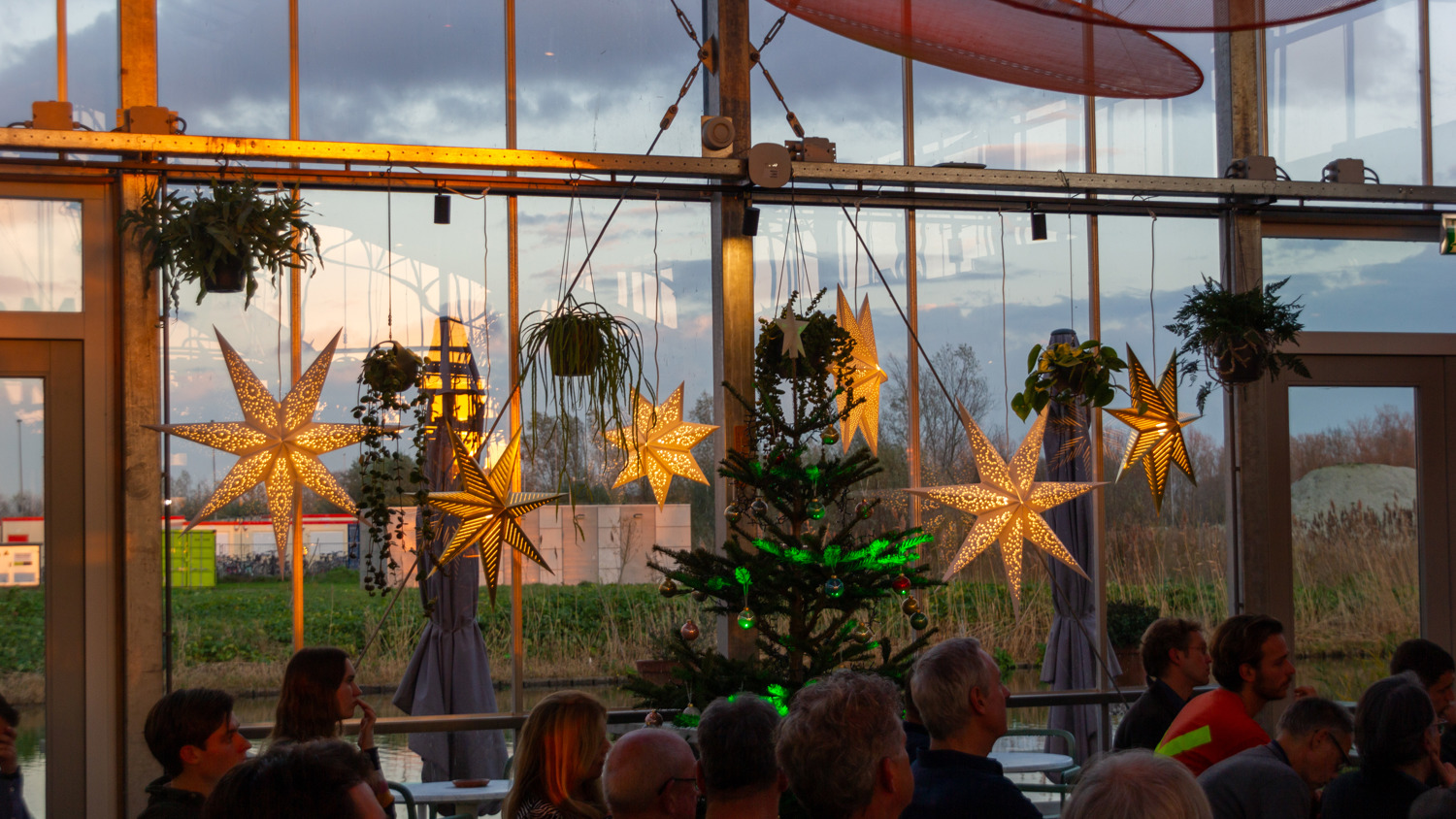 A group of people sits indoors near large windows decorated with glowing star-shaped lights, potted plants, and a lit Christmas tree, with a view of greenery and cloudy sky outside.