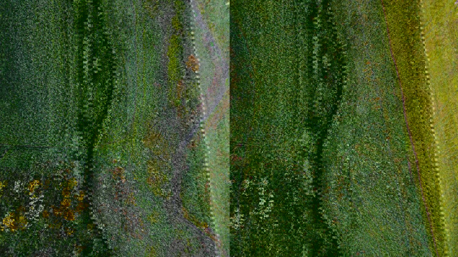 A winding path crosses through a lush forest with dense green trees and foliage, seen from above. Stripes of yellow and orange foliage are visible, suggesting early autumn.