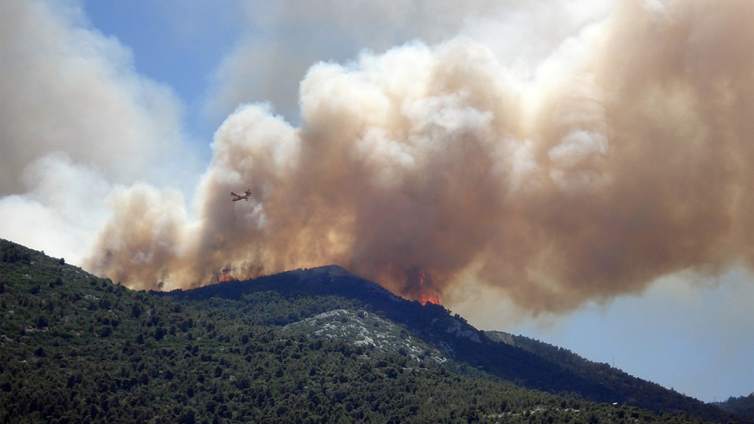 Aerial view of a forest fire on a hillside. Thick smoke billows into the sky, with a firefighting plane flying nearby. The foreground shows dense greenery contrasting against the flames and smoke.