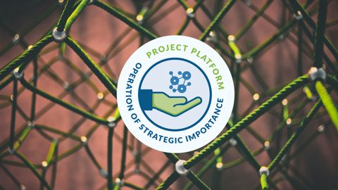 A green hand holding a network icon is surrounded by the words "Project Platform Operation of Strategic Importance" on a circular badge, overlaid on an abstract background of interconnected green lines.
