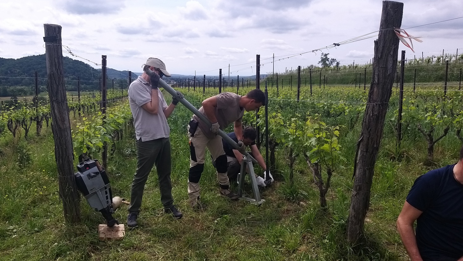 Three people work in a vineyard, examining the soil with equipment. One person stands with a tool, another kneels beside them, and a third appears to be supervising. Vine rows stretch into the distance under a partly cloudy sky.