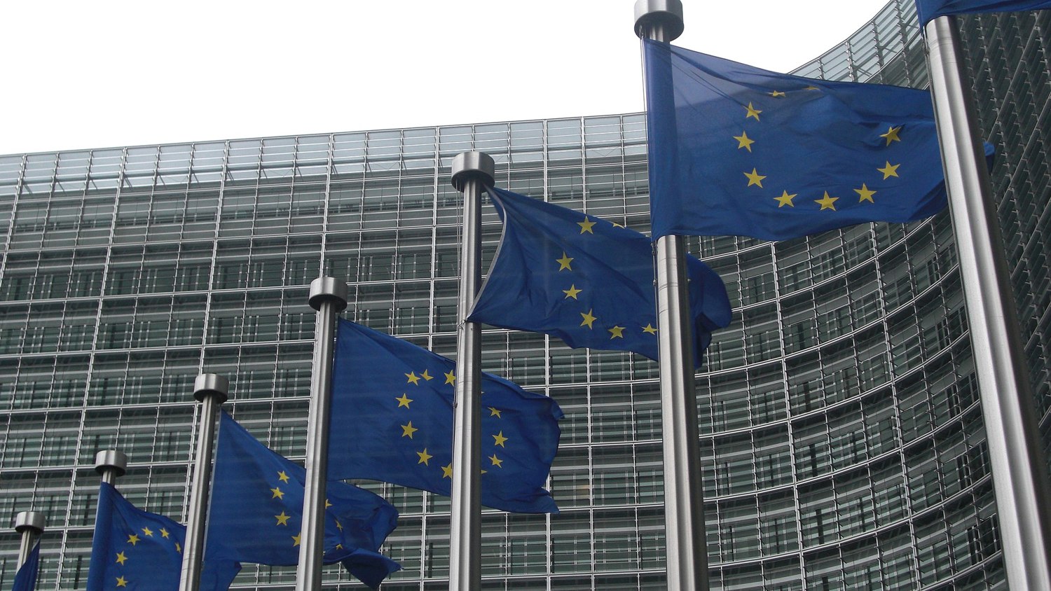 Several European Union flags with yellow stars on a blue background are flying in front of a modern glass-fronted building on a cloudy day.