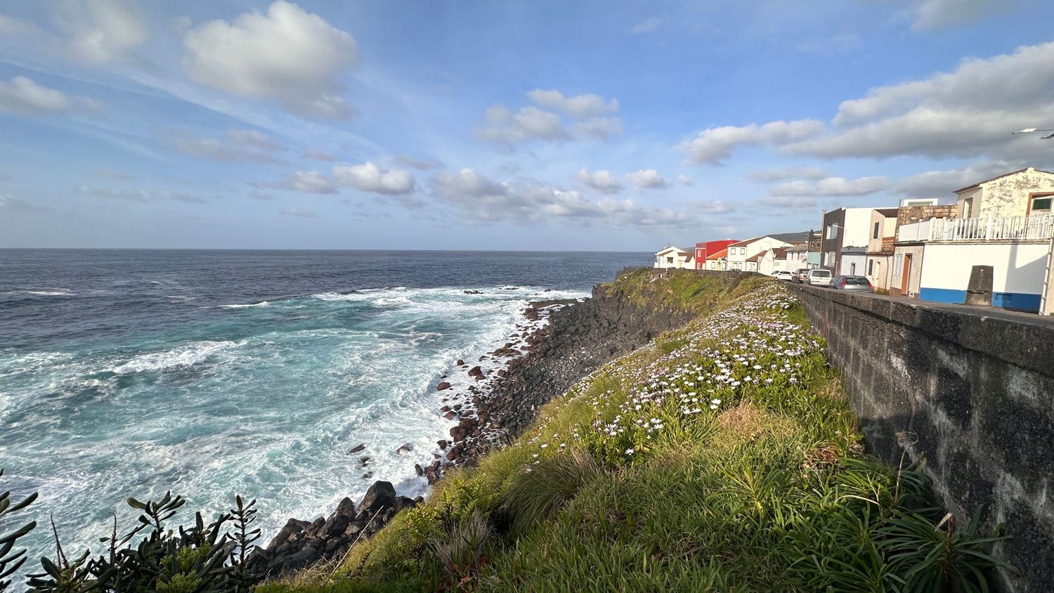 Coastal view with ocean waves crashing against rocks, grassy cliff with wildflowers, and a row of houses along the edge under a partly cloudy sky.