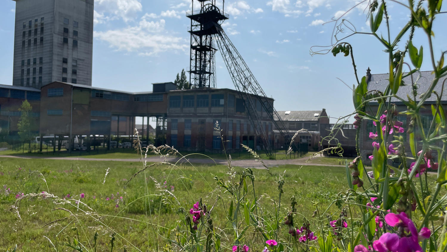 An old industrial mining structure with a tall tower stands in the background, while wildflowers and grass fill the foreground under a partly cloudy sky.
