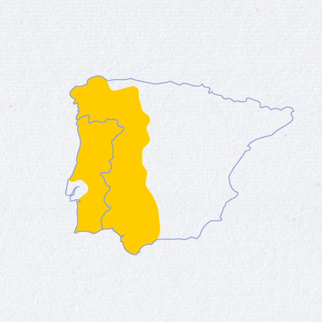 Outline map of Spain with the area along the eastern border of Portugal shaded in yellow. The rest of Spain is shown in white with light blue borderlines. The background is a light textured fabric.