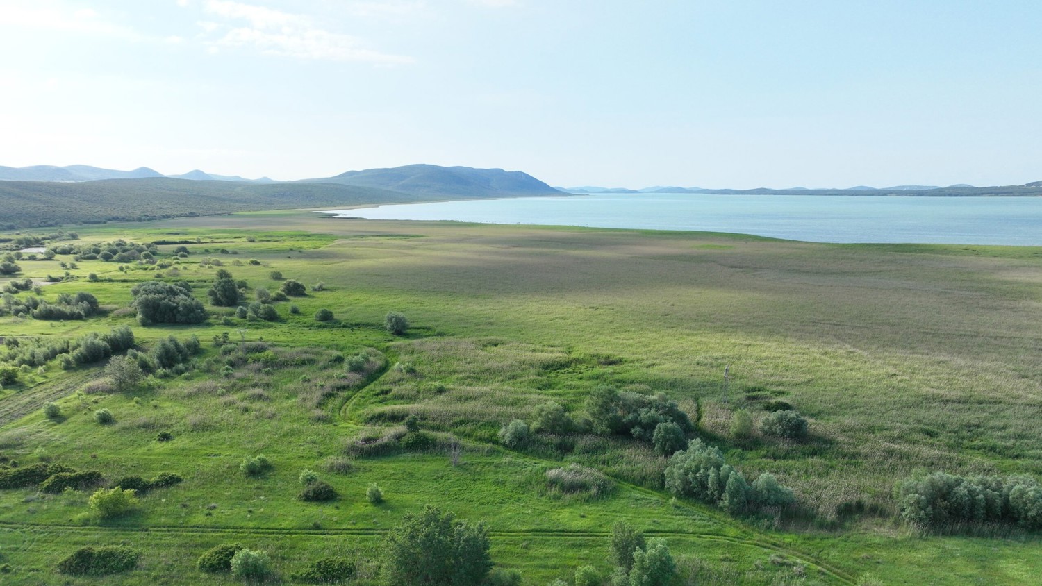 A wide aerial view of a lush green landscape with scattered bushes and trees, leading to a calm lake under a clear blue sky, with distant hills in the background.
