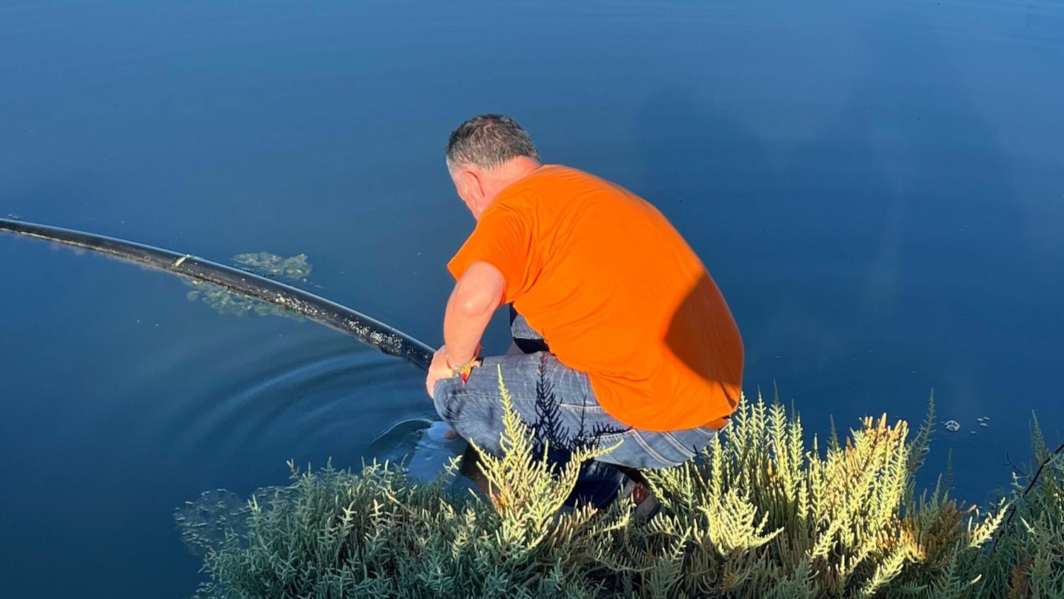 A man in an orange shirt crouches by the water’s edge, reaching into the water near some green shrubs with a long dark pipe or hose extending into the pond.