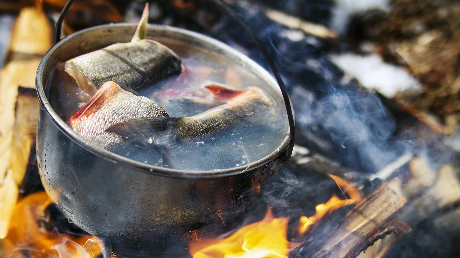 A metal pot filled with fish pieces is boiling over an open campfire, with smoke rising and flames visible beneath the pot. The scene suggests outdoor cooking in a rustic or wilderness setting.