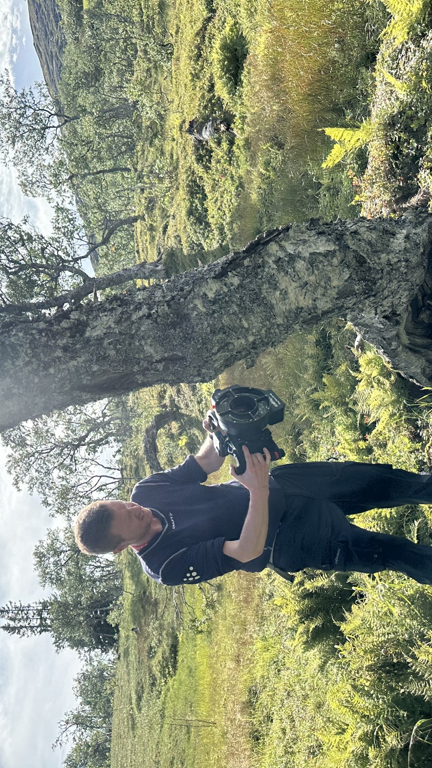 A man in dark clothing uses a chainsaw to cut a leaning tree in a sunny, grassy landscape with scattered trees and hills in the background. Sunlight streams down, casting shadows on the ground.