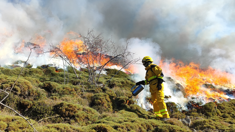 A firefighter in yellow protective gear stands on a grassy hillside, using equipment as bright flames and thick smoke rise from a controlled burn in the vegetation.