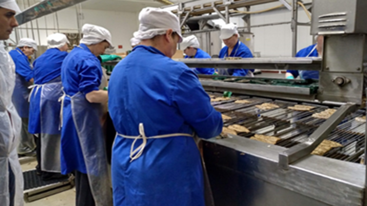 Workers in blue uniforms and white hairnets are operating machinery in a food processing facility. They appear to be handling food items on a conveyor belt, focused on their tasks in the industrial setting.