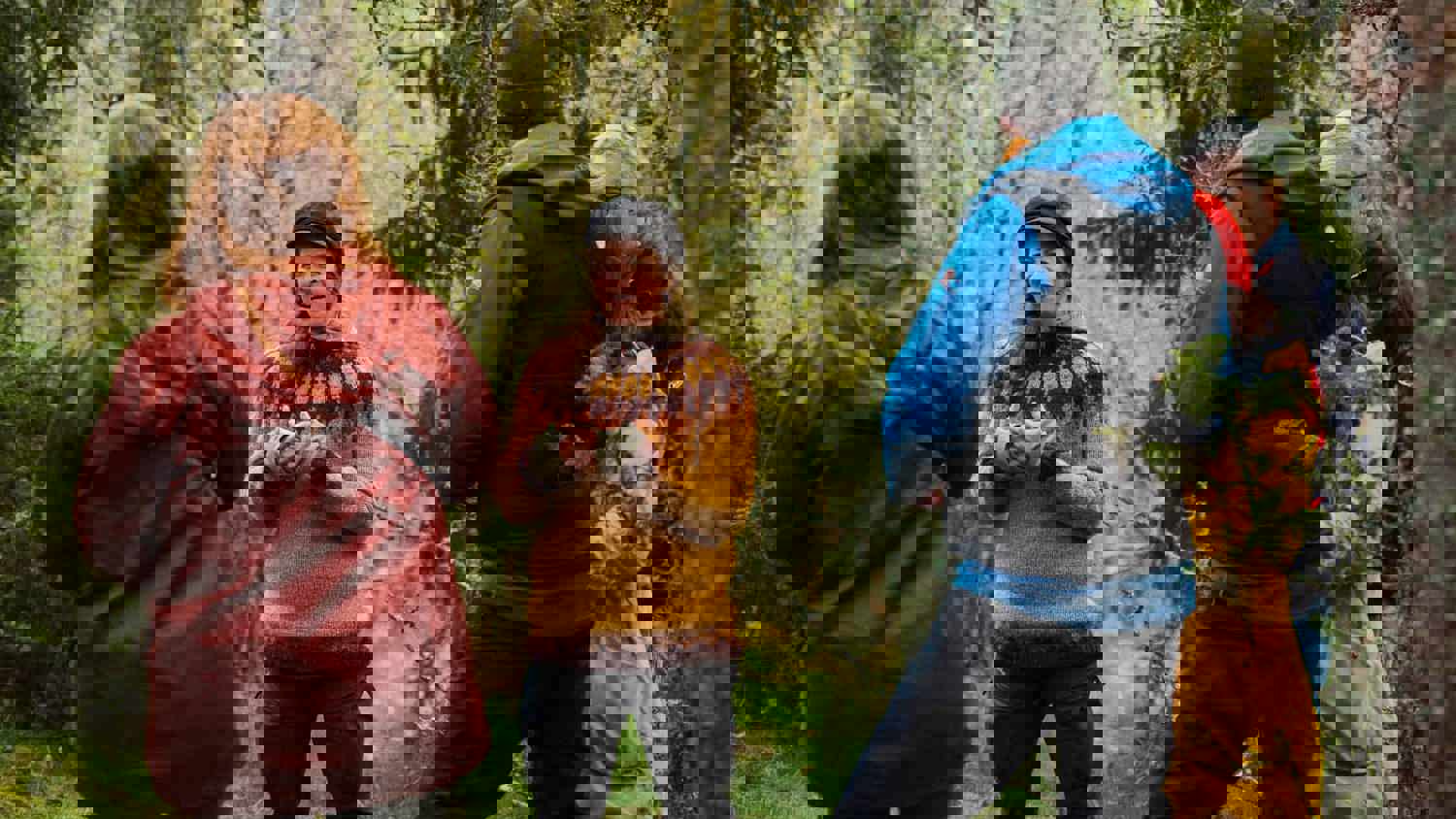 A digital image with horizontal bands of bright colors, including blue, red, yellow, green, and orange, arranged in irregular, pixelated patterns, suggesting a visual glitch or data corruption.