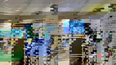 A digital image with horizontal bands of bright colors, including red, yellow, green, blue, and purple, appears distorted with glitch-like pixelation and visual noise.
